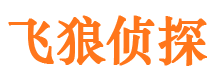 定州市婚姻出轨调查